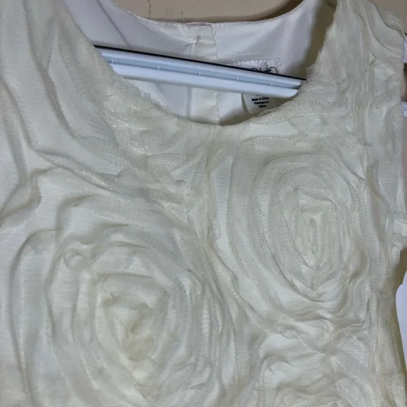 🎉🎉Host Pick!🎉🎉Flower Girl Tevolio Ivory Roses Tulle Dress - Picture 4 of 16